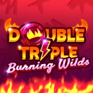 Double Triple Burning Wilds gokkast bij Rolly Spin online casino
